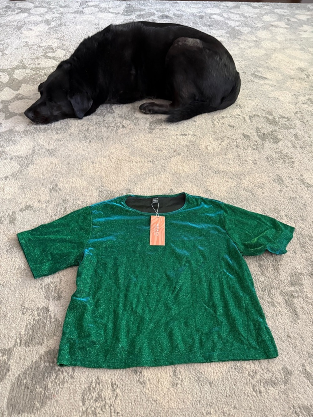 Sparkle Green Shimmery Tee